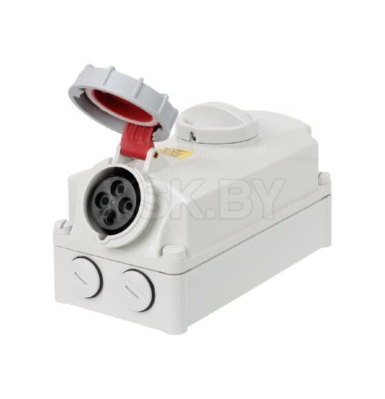 Розетка настенная с выключателем и блокировкой IP67 16А 3Р+РЕ 380В TDM SQ0611-0065 (SQ0611-0065) 