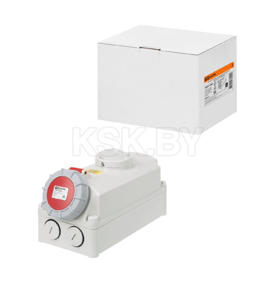 Розетка настенная с выключателем и блокировкой IP67 16А 3Р+РЕ 380В TDM SQ0611-0065 (SQ0611-0065) 