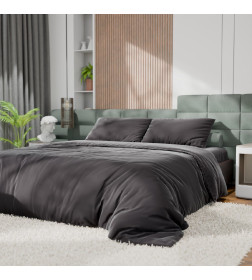 Постельное бельё Этель 1,5сп Tencel 155*210см, 160*245см, 50*70см-2шт, цвет чёрный