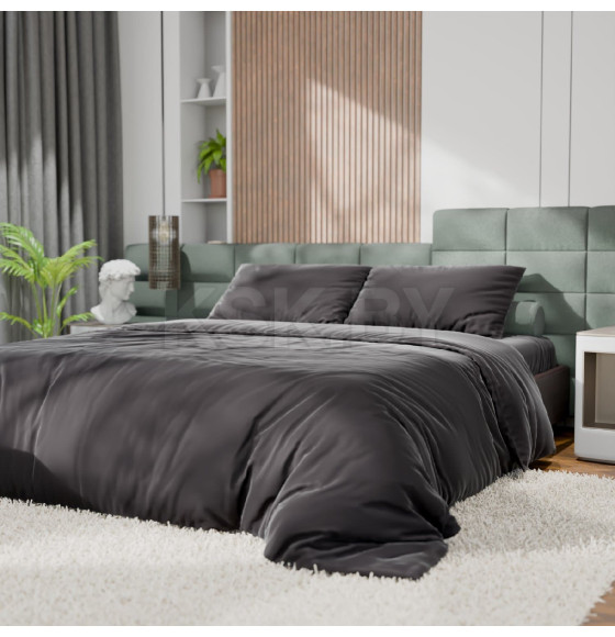 Постельное бельё Этель Евро Tencel 200*220см, 230*245см, 50*70см-2шт, цвет чёрный (10655074) 