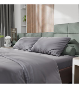 Постельное бельё Этель 1,5сп Tencel 155*210см, 160*245см, 50*70см-2шт, цвет серый