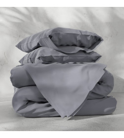 Постельное бельё Этель 1,5сп Tencel 155*210см, 160*245см, 50*70см-2шт, цвет серый