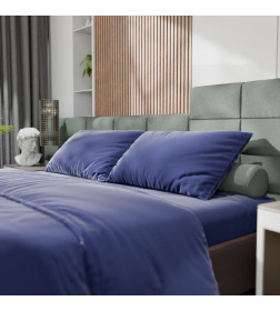 Постельное бельё Этель Евро Tencel 200*220см, 230*245см, 50*70см-2шт, цвет синий