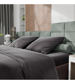 Постельное бельё Этель 1,5сп Tencel 155*210см, 160*245см, 50*70см-2шт, цвет чёрный