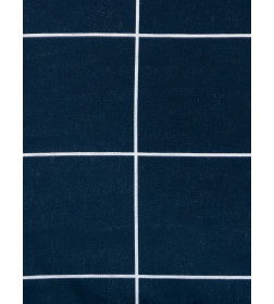 Постельное бельё Этель Евро «Клетка», синее, 200×215, 220×240, 50×70-2 штуки, бязь, 125 г/м²
