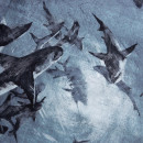 Постельное белье Этель дуэт Shark 143*215 см 2 шт,220*240 см,70*70 см 2 шт, бязь (7533840) 