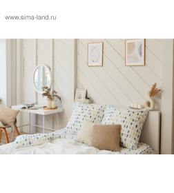 Постельное бельё «Этель» 2 сп Eucalyptus 175х215 см, 200х220 см, 70х70 см - 2 шт