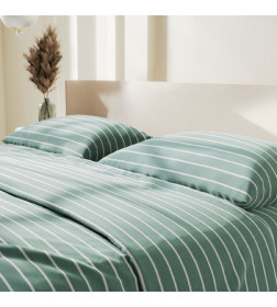 Постельное бельё Этель Дуэт Mint stripes 143х215 см-2шт, 220х240см, 70х70см-2шт, 100% хлопок, поплин