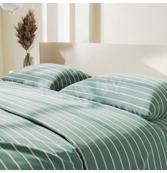 Постельное бельё Этель Дуэт Mint stripes 143х215 см-2шт, 220х240см, 70х70см-2шт, 100% хлопок, поплин (6632207) 