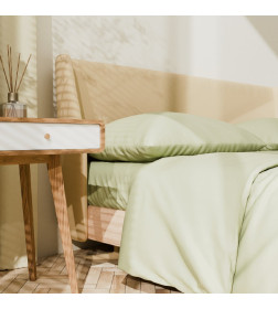 Постельное бельё LoveLife 1,5сп Young grass 143х215см, 150х225см, 50х70см-2шт, 100%хлопок, сатин, 125г/м²