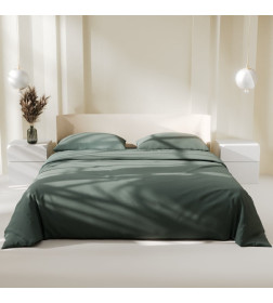 Постельное бельё Этель 2 сп Green forest 175х215, 200х220, 50х70-2 шт, 100% хлопок, поплин 125г/м2
