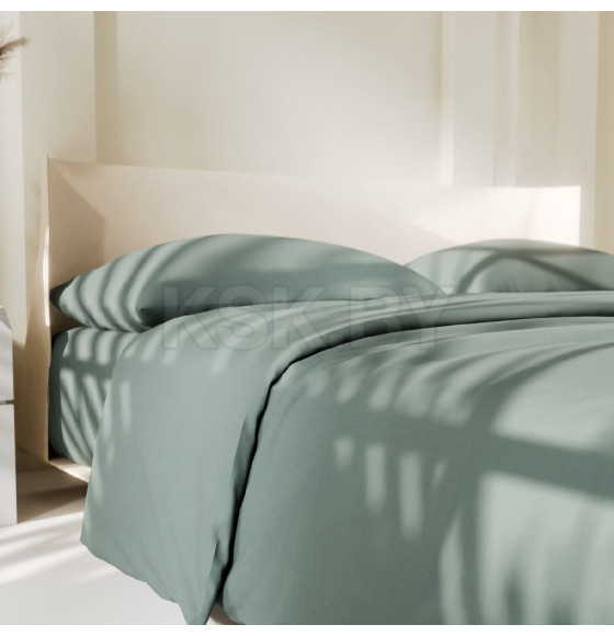 Постельное бельё Этель 2 сп Green forest 175х215, 200х220, 50х70-2 шт, 100% хлопок, поплин 125г/м2 (9241690) 