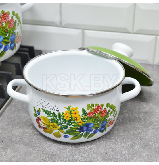 Кастрюля сферическая СтальЭмаль 