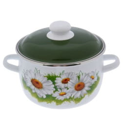 Кастрюля сферическая СтальЭмаль "Ромашки лето" (3,0л) 6RC181M белоснежный