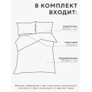 Комплект постельного белья LoveLife дуэт Цветение 150х215 см-2 шт, 220х240см, 50х70см-2шт, 75гр/м2, микрофибра   10662401 (10662401) 