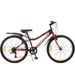 Двухколесный велосипед FAVORIT SIRIUS-24VS,SIR24V12CH