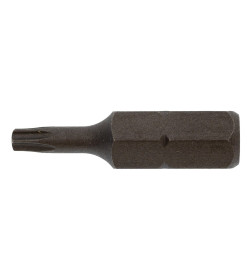 Бита TORX T10х25 мм 1/4" TOPTUL FSEA0810