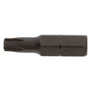 Бита TORX T25х25 мм 1/4