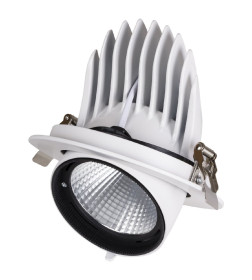 Светильник встраиваемый поворотный "Акцент-1" LED DSL-01-040-NW 40 Вт, 24°, 4000 К, 90 Ra, IP40, TDM SQ0369-0405