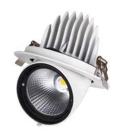 Светильник встраиваемый поворотный "Акцент-1" LED DSL-01-040-NW 40 Вт, 24°, 4000 К, 90 Ra, IP40, TDM SQ0369-0405