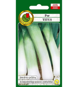 Лук порей Титус 1г (семена) "PNOS"
