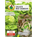 Салат Эдита Ожаровская + Юбилятка на ленте 6м. (семена) "PNOS"