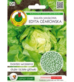Салат Эдита Ожаровская  масляный в граннулах 100шт. "PNOS" (семена)