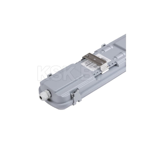 Светильник ССП 2х10Вт IP65 под LED лампу T8 TDM SQ0304-0301 (SQ0304-0301) 