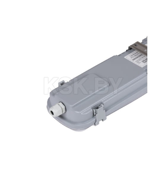 Светильник ССП 2х20Вт IP65 под LED лампу T8 TDM SQ0304-0302 (SQ0304-0302) 
