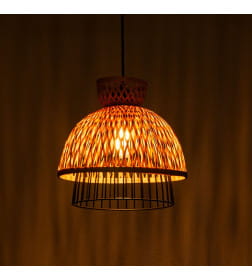 Светильник подвесной Arte Lamp WOODSTOCK A7070SP-1BK