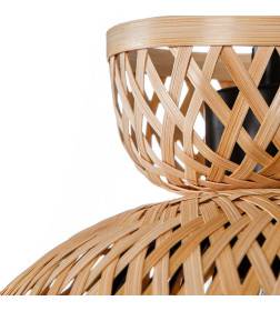 Светильник подвесной Arte Lamp WOODSTOCK A7070SP-1BK