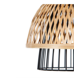 Светильник подвесной Arte Lamp WOODSTOCK A7070SP-1BK