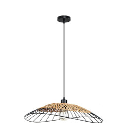 Светильник подвесной Arte Lamp WOODSTOCK A7061SP-1BK