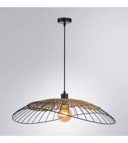 Светильник подвесной Arte Lamp WOODSTOCK A7061SP-1BK