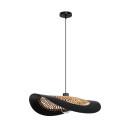 Светильник подвесной Arte Lamp WOODSTOCK A7059SP-1BK (A7059SP-1BK) 