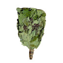 Веник "Экстра" из кавказского дуба с Мятой в (упаковке)