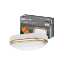 Светильник накладной LED ДПО "Антарес" 15Вт 6500К овал 221х131х68 мм матовое золото IP54 TDM SQ0354-0028 (SQ0354-0028) 