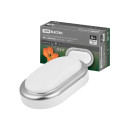 Светильник накладной LED ДПО "Антарес" 8Вт 6500К овал 168х100х58 мм матовое серебро IP54 TDM SQ0354-0025 (SQ0354-0025) 