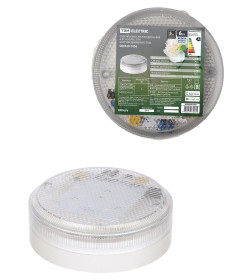 Светильник LED ЖКХ ДБО-6-ФМ 6 Вт, 850 лм, IP54 (датчик движения) TDM SQ0329-1056