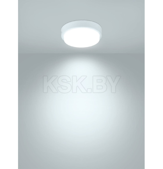 Светильник светодиодный LED ДПП 3901 8Вт 6500К IP65 белый круг 140х57 мм Народный TDM SQ0366-0148 (SQ0366-0148) 
