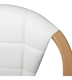 Стул "Соната-Комфорт" подлокотники бук/каркас Бриллиант/экотекс (3002) СоюзРегионПоставка СРП-018К