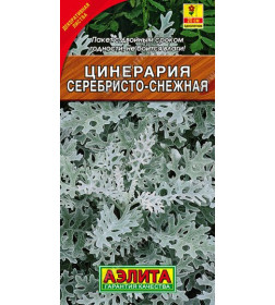 Цинерария Серебристо-снежная 0,05 г семена