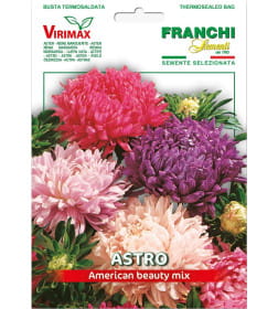 Астра Калифорнийские гиганты, смесь Franchi