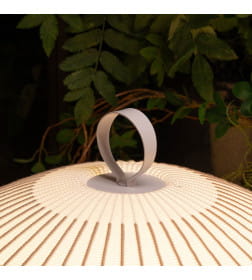 Лампа настольная декоративная Divinare FIREFLY 1808/33 TL-50