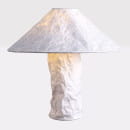 Лампа настольная Lussole LSP-0824 (LSP-0824) 