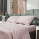 Постельное бельё Этель 2сп Tencel 180*210см, 220*245см, 50*70см-2шт, цвет пудра (10655037) 