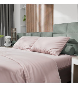 Постельное бельё Этель 2сп Tencel 180*210см, 220*245см, 50*70см-2шт, цвет пудра