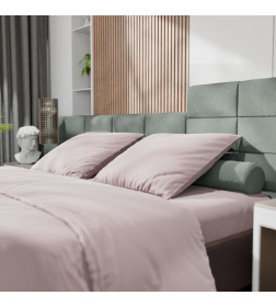 Постельное бельё Этель 2сп Tencel 180*210см, 220*245см, 50*70см-2шт, цвет пудра