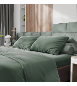 Постельное бельё Этель 2сп Tencel 180*210см, 220*245см, 50*70см-2шт, цвет оливковый