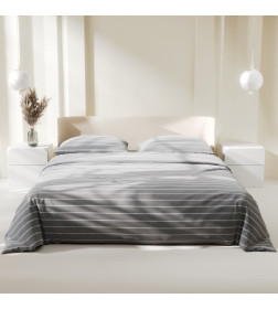 Постельное бельё Этель Дуэт Gray stripes 143х215см-2шт,220х240см,70х70см-2шт, 100% хлопок, поплин